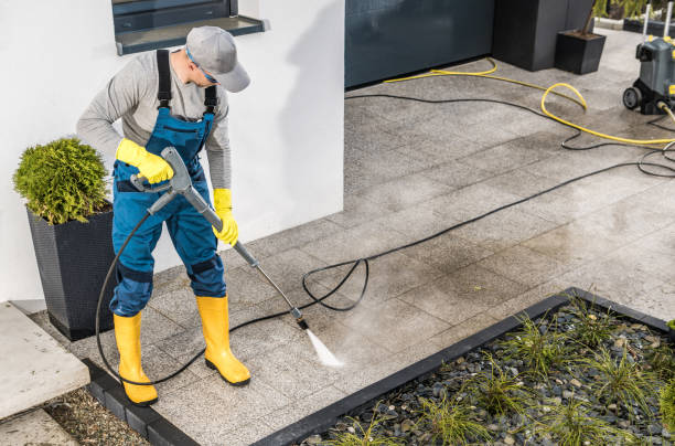 Best Exterior Home Cleaning  in Linganore, MD