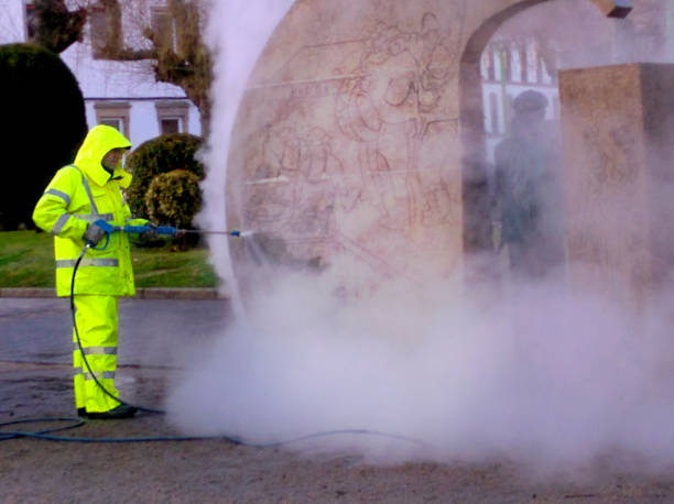 Best Roof Power Washing Services  in Linganore, MD