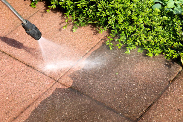Best Power Washing Near Me  in Linganore, MD